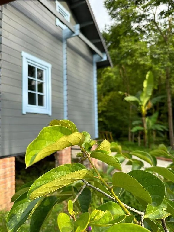Вилла Dream House Батуми 0*,